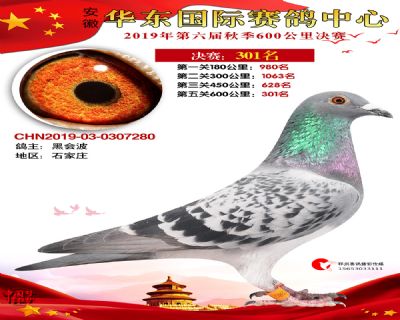 华东301