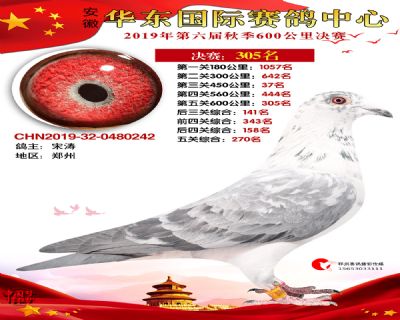 华东305