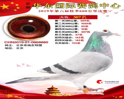 华东307