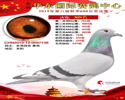 华东309