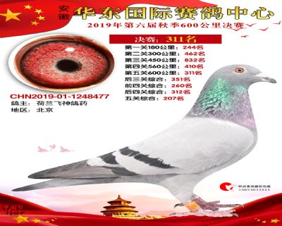华东311