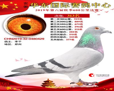 华东313