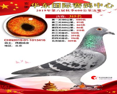 华东315