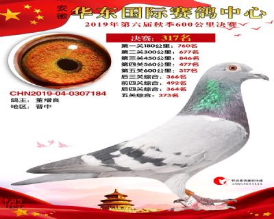 华东317