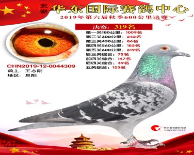 华东319