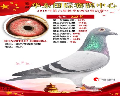 华东323