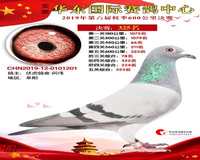 华东325