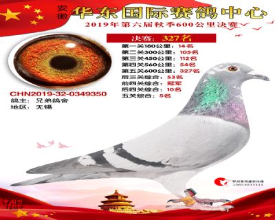 华东327