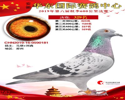 华东329