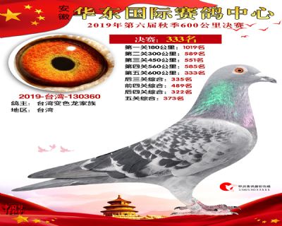 华东333