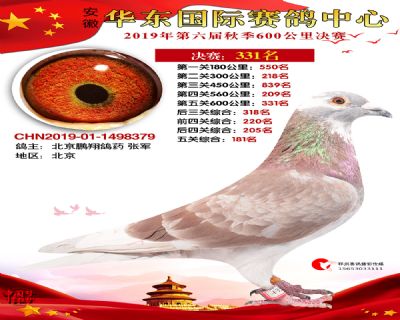 华东331
