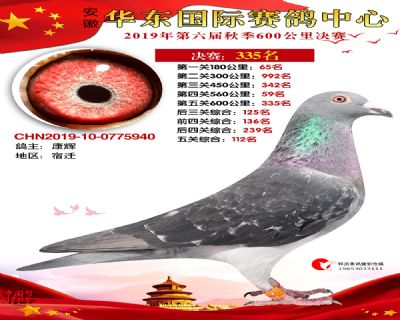 华东335