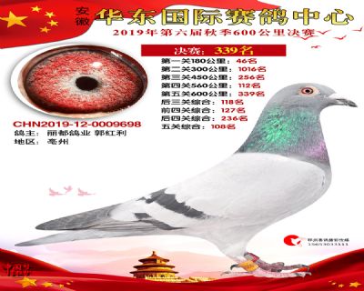 华东339