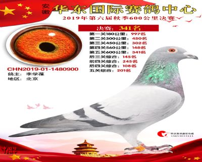 华东341
