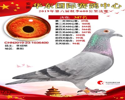 华东347