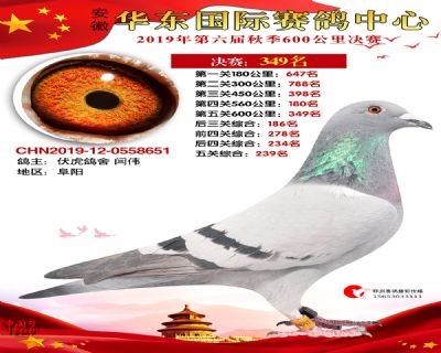 华东349