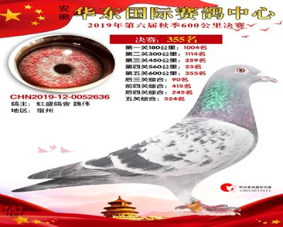 华东355