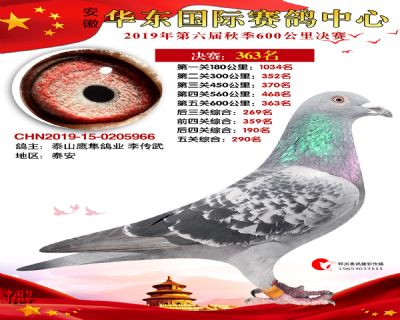 华东363