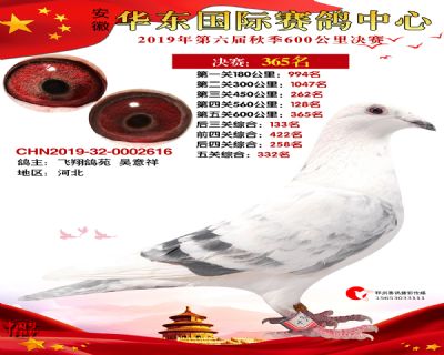 华东365