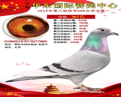 华东367