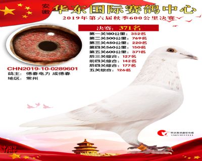 华东371
