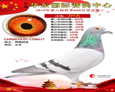 华东377