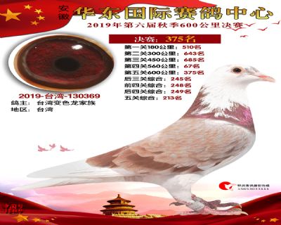 华东375