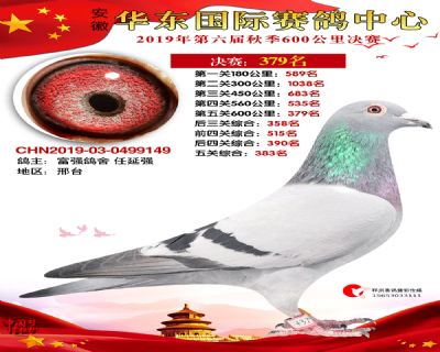华东379