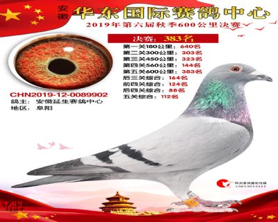 华东383