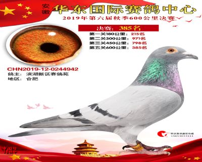 华东385
