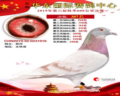 华东387