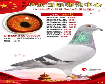 华东389