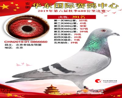 华东391