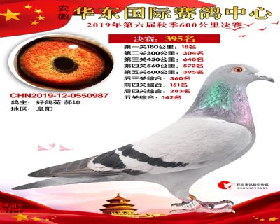 华东395