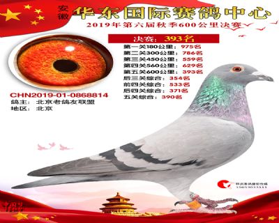 华东393