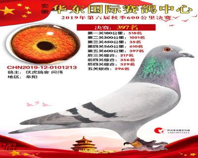 华东397