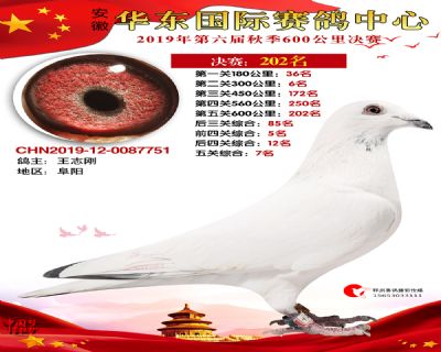华东202