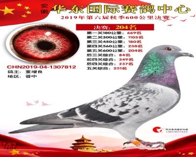 华东204