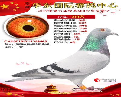 华东210