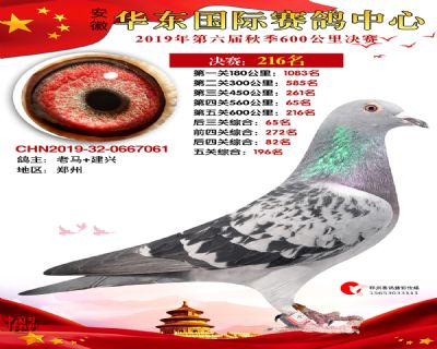 华东216
