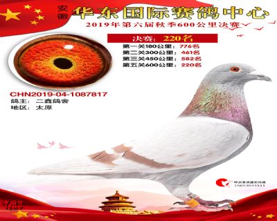 华东220