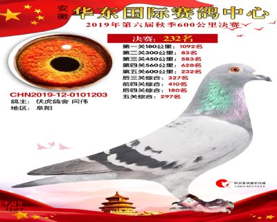 华东232