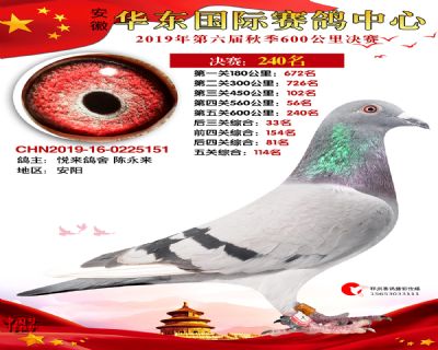 华东240