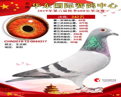 华东242