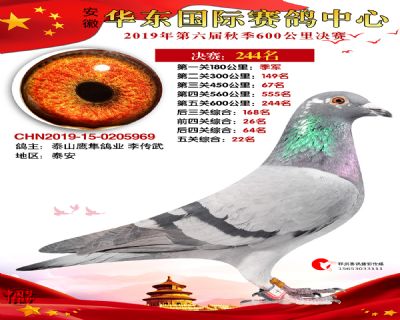 华东244