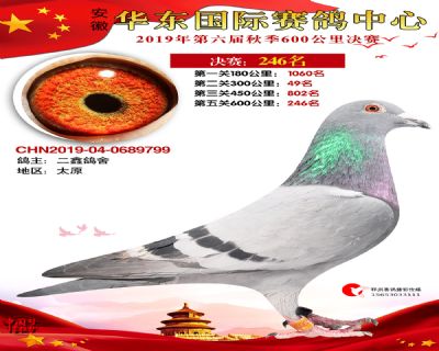华东246