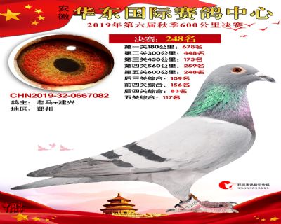 华东248