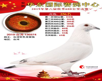华东256