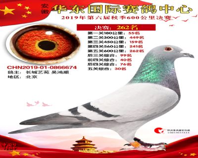 华东262