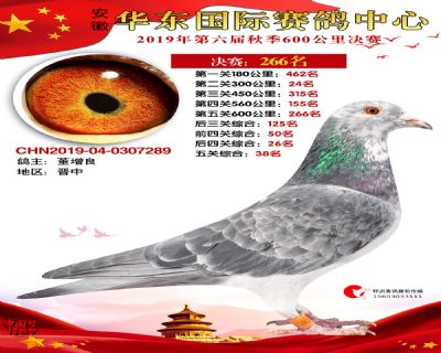 华东266